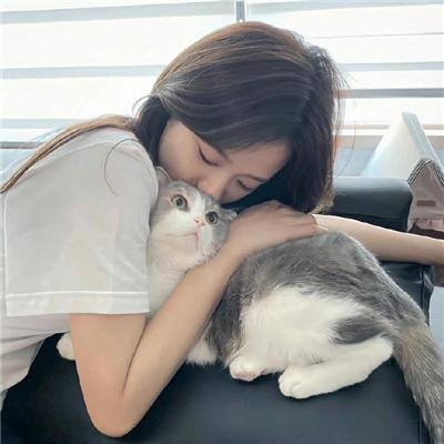 青春恋歌