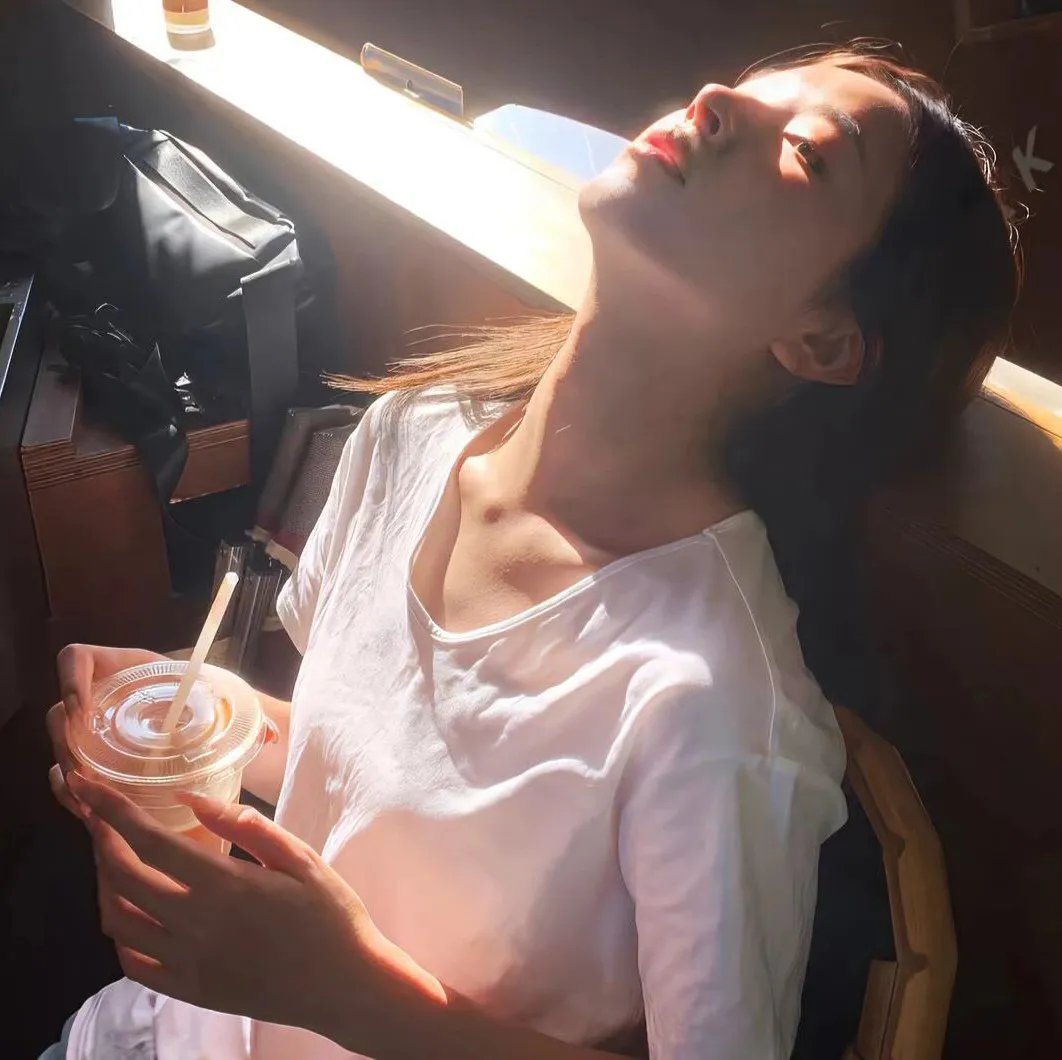 杀猫记